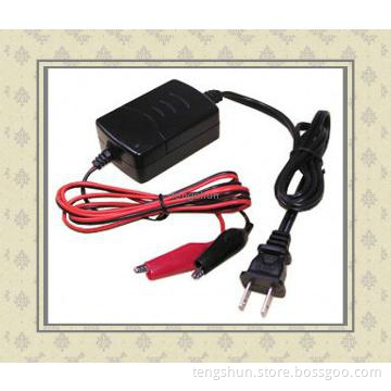 Automatic 12V Battery Charger Lead-acid Battery Charger Shenzhen